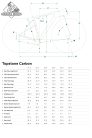 CANNONDALE TOPSTONE CARBON 2 GRX 2x