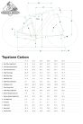 CANNONDALE TOPSTONE CARBON 1 AXS 1x BLK